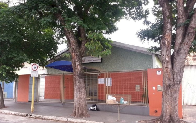 Professora e alunos são atacados por enxame de abelhas em creche de Bauru