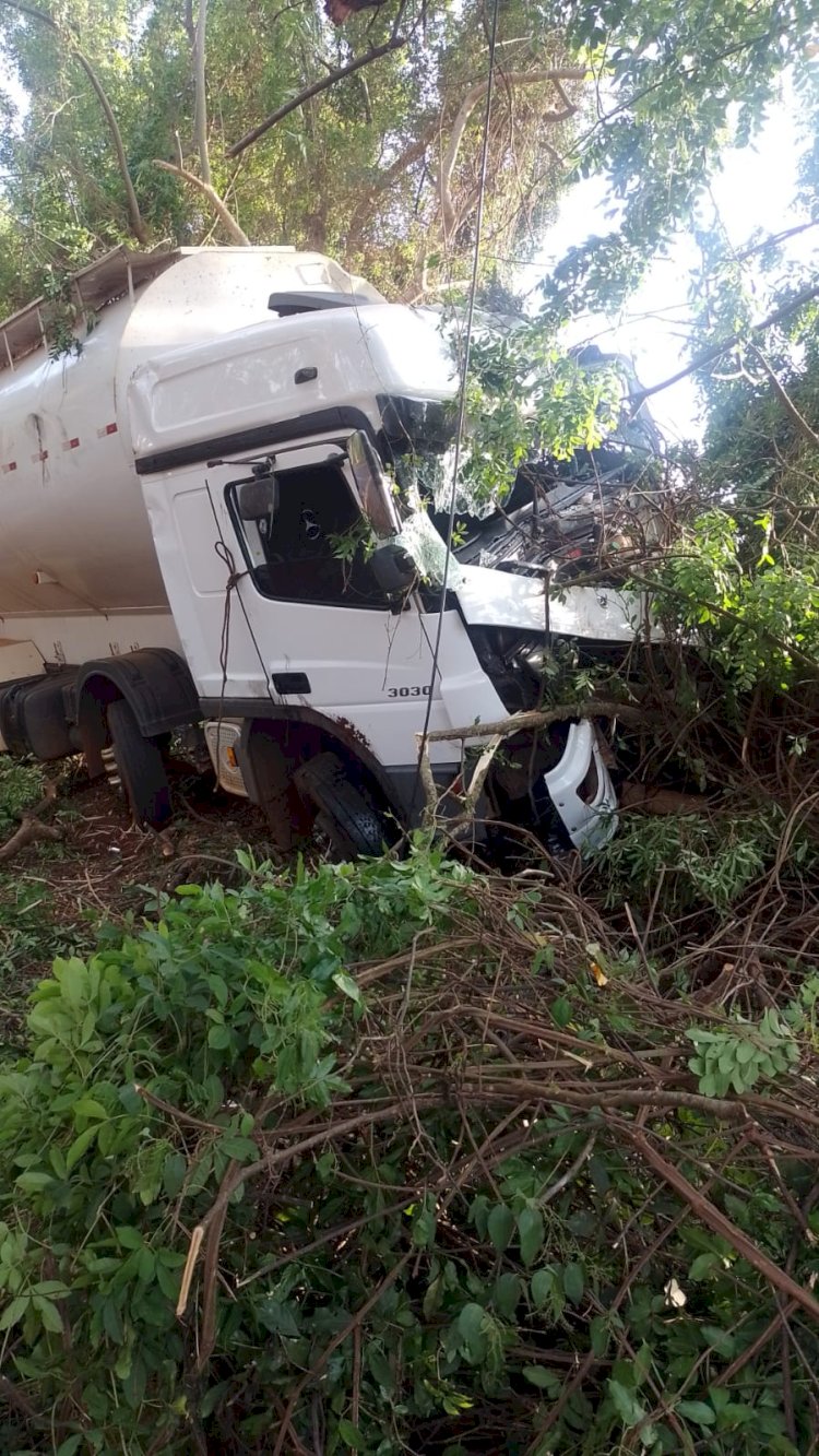 Caminhoneiro colide contra árvore na Bariri-Itapuí