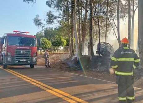 Carro bate em árvore, pega fogo e incendeia vegetação na estrada da balsa de Ibitinga