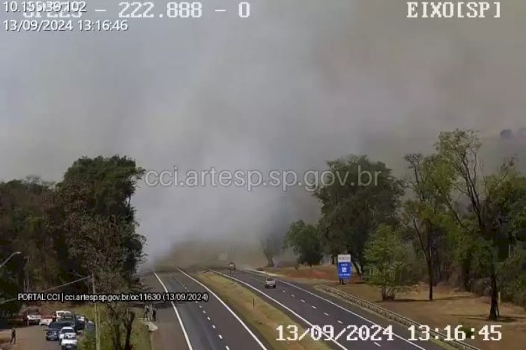 Incêndio em mata interdita rodovia SP-225 e mobiliza autoridades em Pederneiras