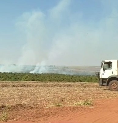 Incêndio consome área ambiental em Ibitinga