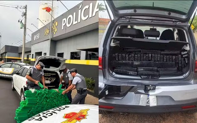 Quase 600 quilos de skunk e maconha são apreendidos em Bauru e Pirajuí