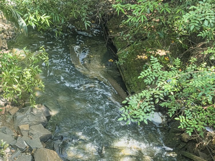 Baririenses relatam forte cheiro de esgoto em áreas que margeiam o Córrego do Sapé e levantam suspeita de crime ambiental