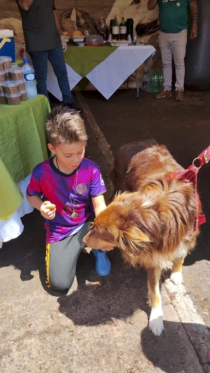 CSU recebe mutirão de vacinação contra a raiva animal neste sábado