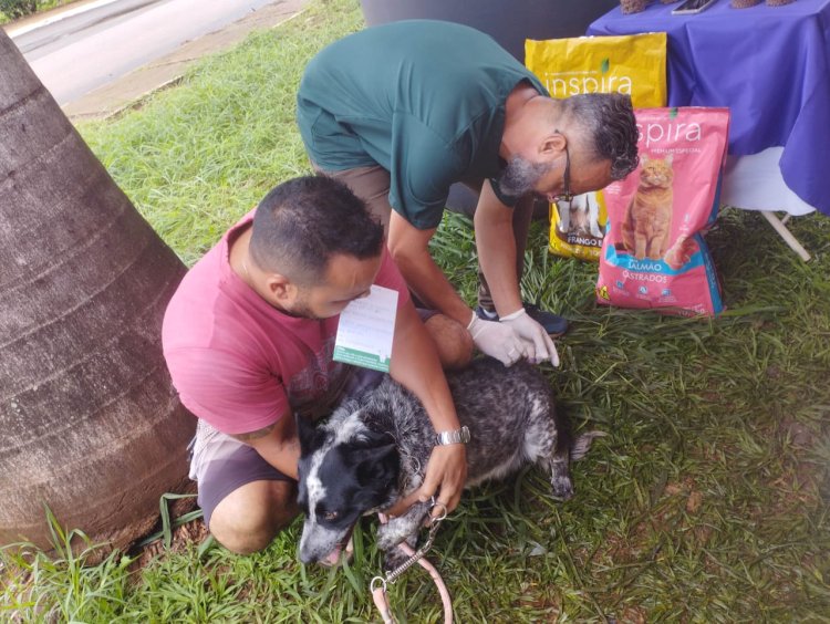 Livramento recebe mutirão de vacinação contra a raiva animal neste sábado