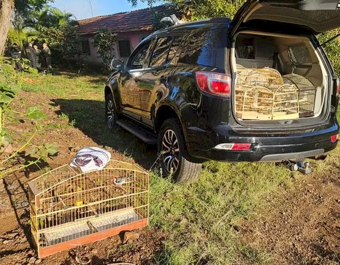 Operação Free Bird: Mais de 70 aves silvestres são resgatadas de cativeiro pela Polícia Federal em Dois Córregos