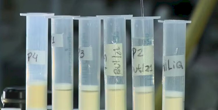 Estudo da Unicamp com amostras colhidas em Brotas identifica 14 agrotóxicos na chuva; duas das substâncias são proibidas no Brasil