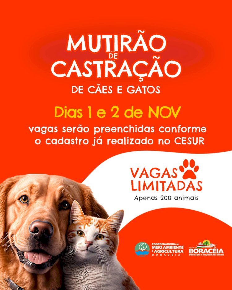 Boraceia promove mutirão de castração no próximo final de semana