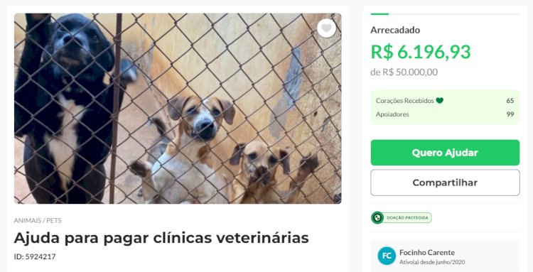 Focinho Carente encerra atendimentos veterinários e abre “vakinha” para pagar dívida de R$ 50 mil