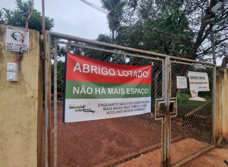 Vereadores divergem sobre contratação de nova ONG para abrigar animais em Bariri